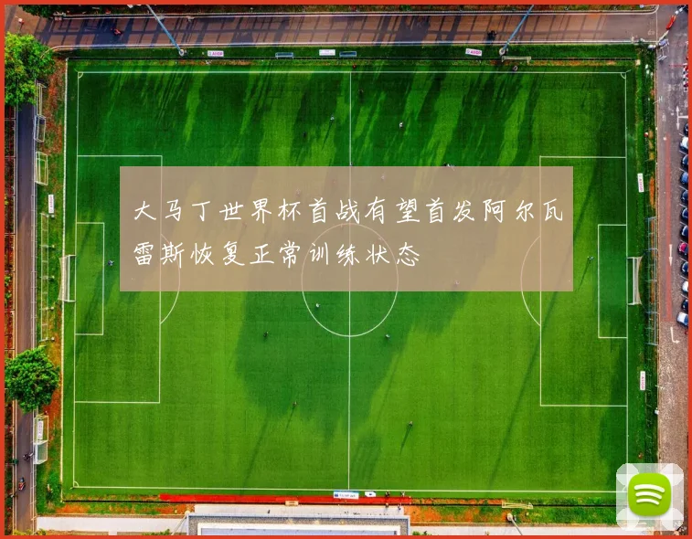 大马丁世界杯首战有望首发阿尔瓦雷斯恢复正常训练状态